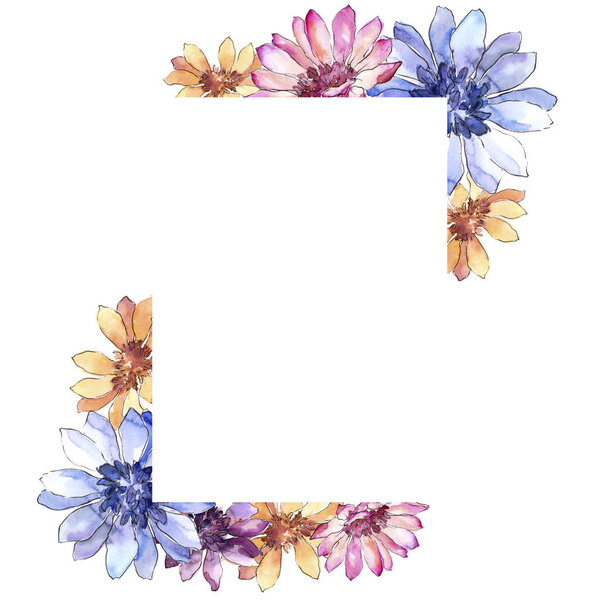 Красочная африканская маргаритка. Цветочный ботанический цветок. Рамка границы украшения площади
.