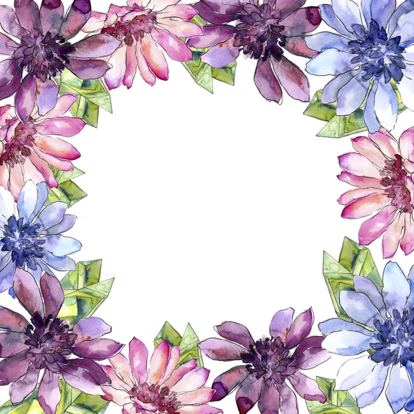 Kleurrijke Afrikaanse daisy. Floral botanische bloem. Frame grens ornament vierkant. — Stockfoto