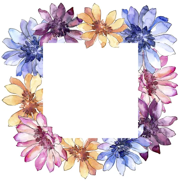 Farbenfrohe afrikanische Gänseblümchen. Blumen botanische flower.frame Grenze Ornament Quadrat. — Stockfoto