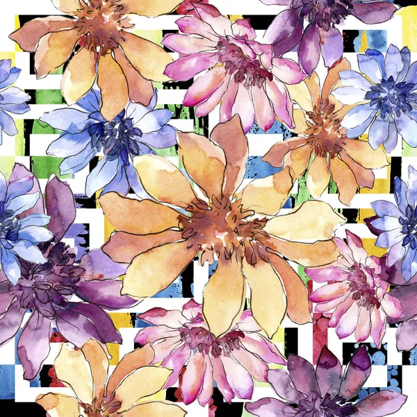 Colorida margarita africana. Flor botánica floral. Patrón de fondo sin costuras . — Foto de Stock