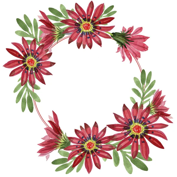 Fiore di gazania rossa. Fiore botanico floreale. Quadrato ornamento bordo cornice . — Foto Stock