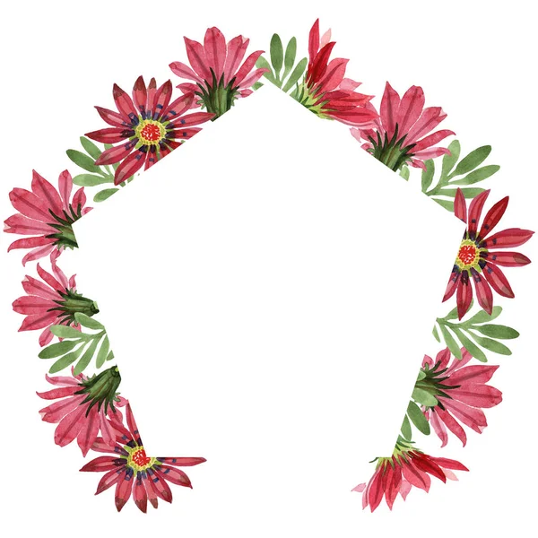 Red gazania flower. Floral botanical flower.Frame border ornament square. — Stock Photo, Image