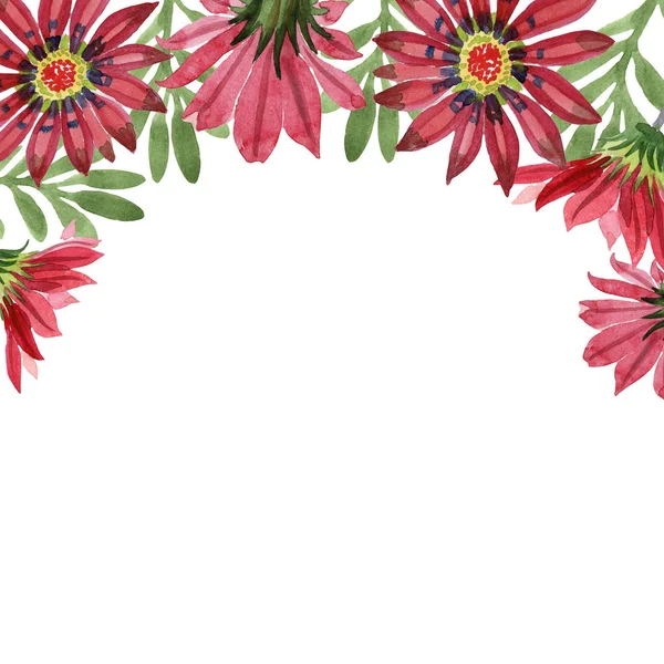 Rote Gazania-Blume. Blumen botanische flower.frame Grenze Ornament Quadrat. — Stockfoto