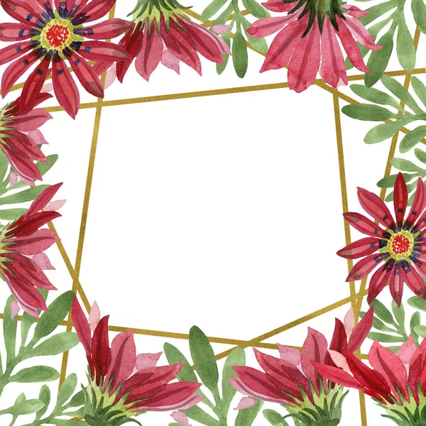 Gazania κόκκινο λουλούδι. Floral βοτανικό λουλούδι. Πλαίσιο συνόρων στολίδι τετράγωνο. — Φωτογραφία Αρχείου