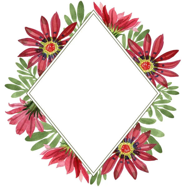 Rode gazania bloem. Floral botanische bloem. Frame grens ornament vierkant. — Stockfoto