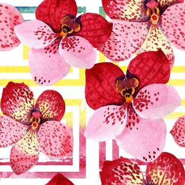 Kırmızı orkide vanda çiçek. Botanik çiçek. Sorunsuz arka plan deseni. Kumaş duvar kağıdı yazdırma doku. Arka plan, doku, sarıcı desen, çerçeve veya kenarlık için Aquarelle kır çiçeği.