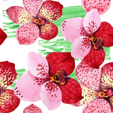 Kırmızı orkide vanda çiçek. Botanik çiçek. Sorunsuz arka plan deseni. Kumaş duvar kağıdı yazdırma doku. Arka plan, doku, sarıcı desen, çerçeve veya kenarlık için Aquarelle kır çiçeği.