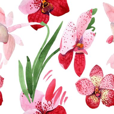 Kırmızı orkide vanda çiçek. Botanik çiçek. Sorunsuz arka plan deseni. Kumaş duvar kağıdı yazdırma doku. Arka plan, doku, sarıcı desen, çerçeve veya kenarlık için Aquarelle kır çiçeği.
