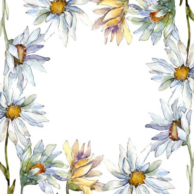 Beyaz papatya çiçekler. Çerçeve kenarlığı süsleme Meydanı. Arka plan, doku, sarıcı desen, çerçeve veya kenarlık için Aquarelle kır çiçeği.