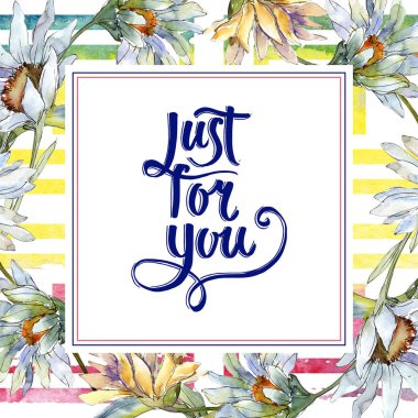 Beyaz papatya çiçekler. Çerçeve kenarlığı süsleme Meydanı. Arka plan, doku, sarıcı desen, çerçeve veya kenarlık için Aquarelle kır çiçeği.