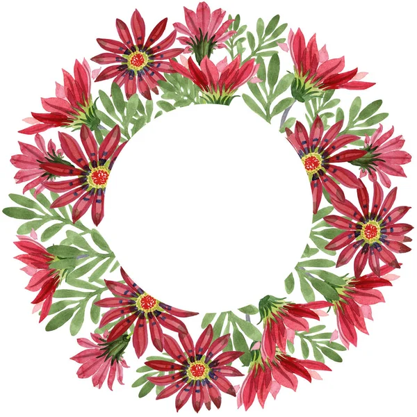 Rode Gazania Bloem Floral Botanische Bloem Frame Grens Ornament Vierkant — Stockfoto