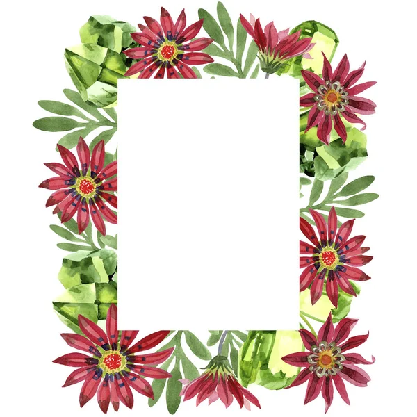 Rote Gazania Blume Blumen Botanische Flower Frame Rand Ornament Quadrat — Stockfoto