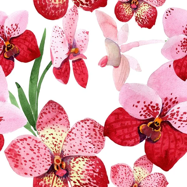 Röd Orkidé Vanda Blomma Blommig Botaniska Blomma Sömlös Bakgrundsmönster Tyg — Stockfoto