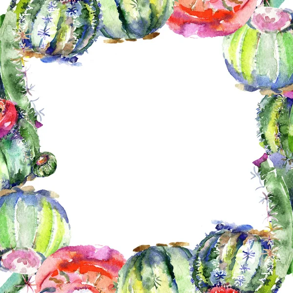 Wildflower green cactuses.  Frame border ornament square. Aquarelle wildflower for background, texture, wrapper pattern, frame or border.
