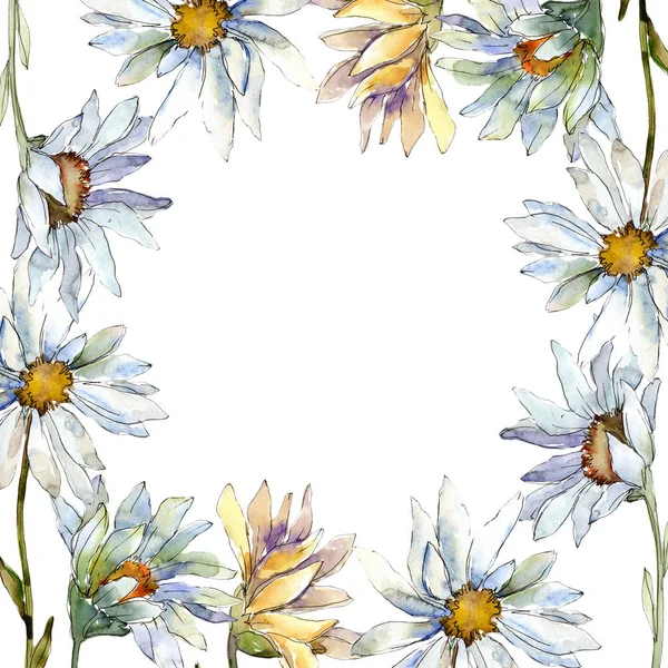 White daisy flowers. Frame border ornament square. Aquarelle wildflower for background, texture, wrapper pattern, frame or border.