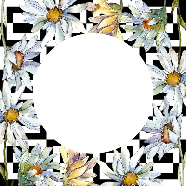 Białe Kwiaty Daisy Ramki Granicznej Ornament Placu Aquarelle Wildflower Tło — Zdjęcie stockowe
