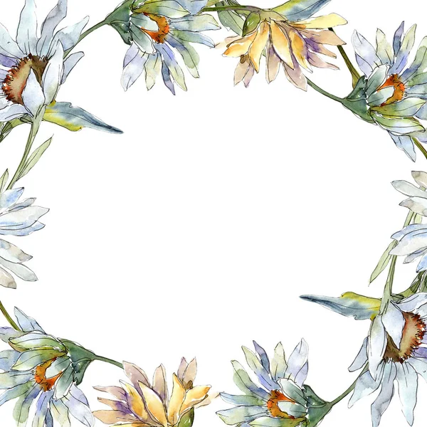 White daisy flowers. Frame border ornament square. Aquarelle wildflower for background, texture, wrapper pattern, frame or border.