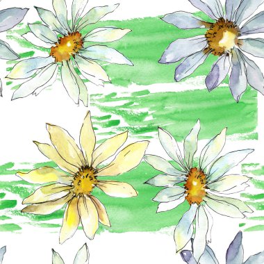 Beyaz papatya çiçek. Botanik çiçek. Sorunsuz arka plan deseni. Kumaş duvar kağıdı yazdırma doku. Arka plan, doku, sarıcı desen, çerçeve veya kenarlık için Aquarelle kır çiçeği.