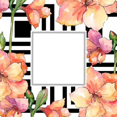 Turuncu nergis zambağı. Botanik çiçek. Çerçeve kenarlığı süsleme Meydanı. Arka plan, doku, sarıcı desen, çerçeve veya kenarlık için Aquarelle kır çiçeği.