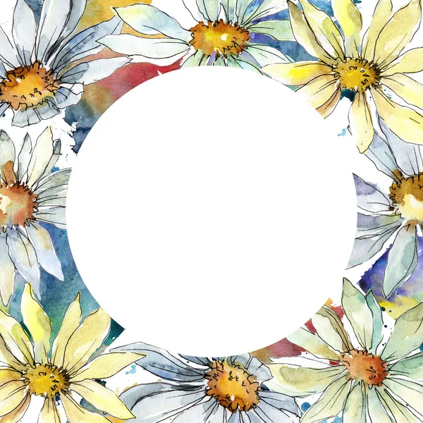 Beyaz Papatya Çiçekler Çerçeve Kenarlığı Süsleme Meydanı Arka Plan Doku — Stok fotoğraf