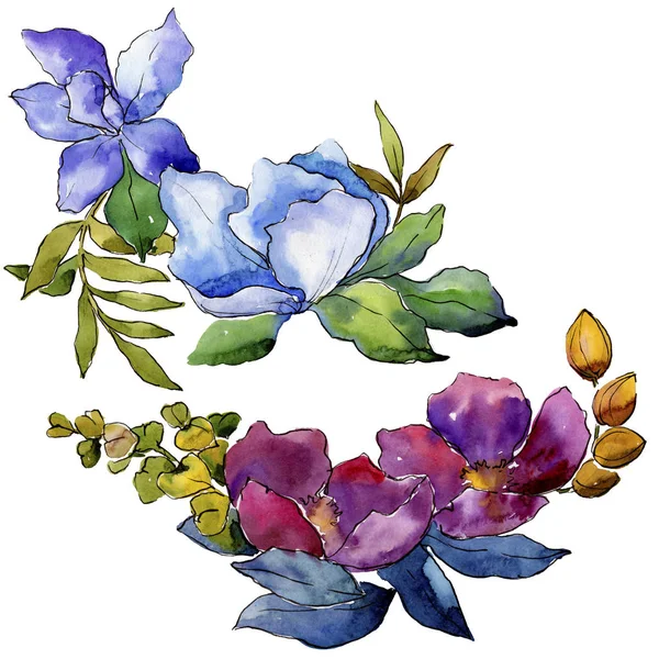 Bouquet Coloré Fleurs Tropicales Fleur Botanique Florale Élément Illustration Isolé — Photo