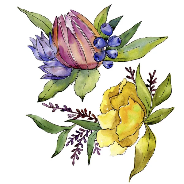 Buquê Colorido Flores Tropicais Floral Flor Botânica Isolado Elemento Ilustração — Fotografia de Stock
