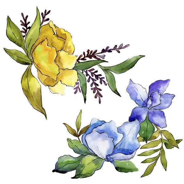 Buquê Colorido Flores Tropicais Floral Flor Botânica Isolado Elemento Ilustração — Fotografia de Stock