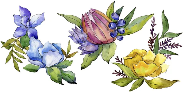 七彩花束热带花卉 花卉植物花 独立的插图元素 包装图案 框架或边框的水彩画野花 — 图库照片