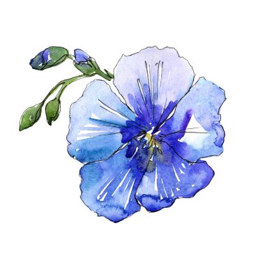 Mavi keten çiçek. Botanik çiçek. İzole illüstrasyon öğesi. Arka plan, doku, sarıcı desen, çerçeve veya kenarlık için Aquarelle kır çiçeği.