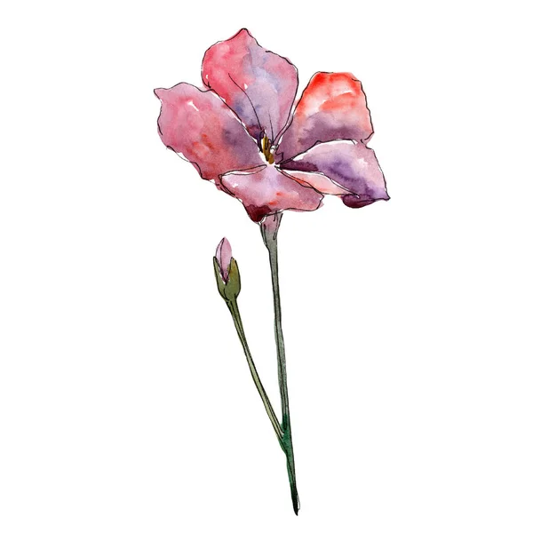 ワイルドフラワー ピンク亜麻 花植物の花 孤立した図の要素 テクスチャ ラッパー パターン フレームや境界線の Aquarelle ワイルドフラワー — ストック写真