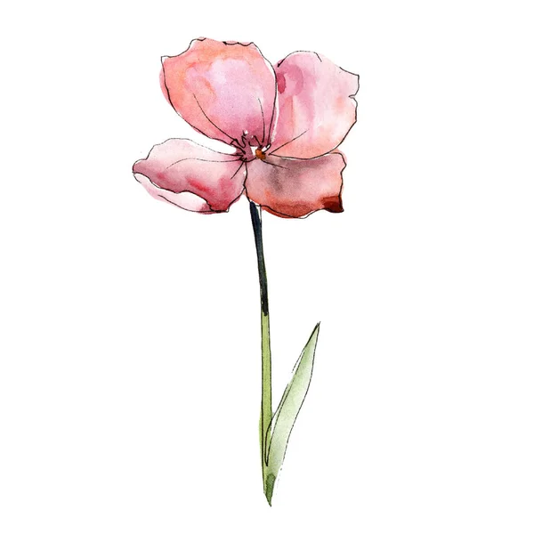 Wildflower Rosa Lin Blommig Botaniska Blomma Isolerade Illustration Element Aquarelle — Stockfoto