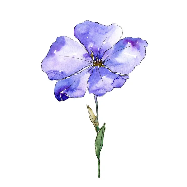 Mavi Keten Çiçek Botanik Çiçek Zole Illüstrasyon Öğesi Arka Plan — Stok fotoğraf