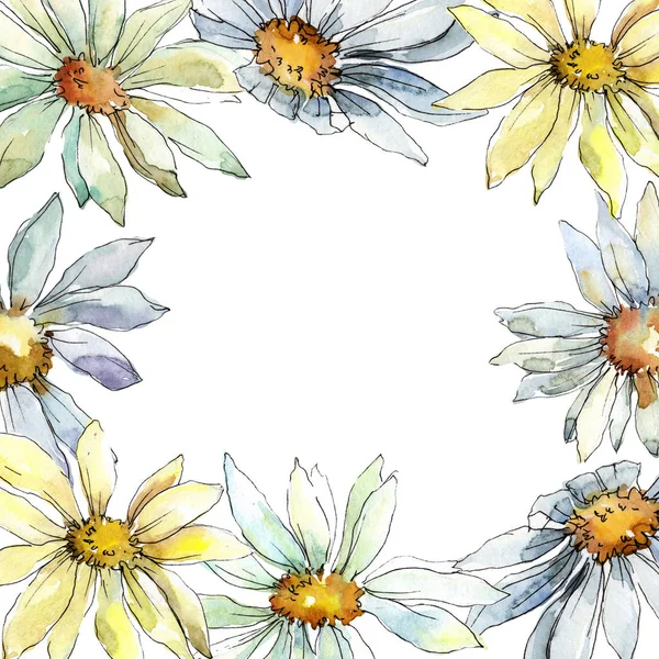 White daisy flower. Floral botanical flower. Frame border ornament square. Aquarelle wildflower for background, texture, wrapper pattern, frame or border.