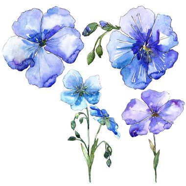 Mavi keten çiçek. Botanik çiçek. İzole illüstrasyon öğesi. Arka plan, doku, sarıcı desen, çerçeve veya kenarlık için Aquarelle kır çiçeği.