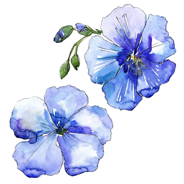 Mavi Keten Çiçek Botanik Çiçek Zole Illüstrasyon Öğesi Arka Plan — Stok fotoğraf
