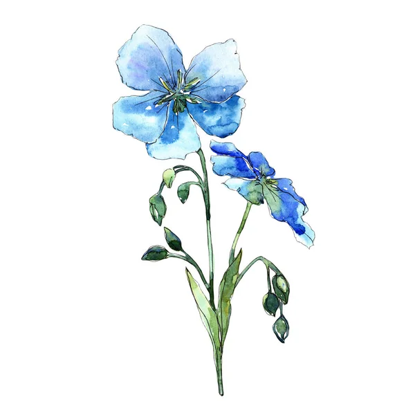 Flor Lino Azul Flor Botánica Floral Elemento Ilustración Aislado Flor — Foto de Stock