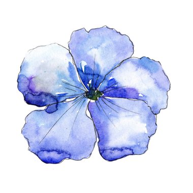 Mavi keten çiçek. Botanik çiçek. İzole illüstrasyon öğesi. Arka plan, doku, sarıcı desen, çerçeve veya kenarlık için Aquarelle kır çiçeği.