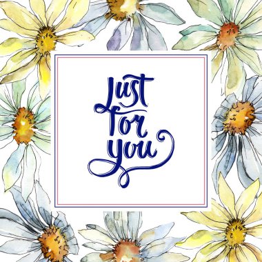 Beyaz papatya çiçek. Botanik çiçek. Çerçeve kenarlığı süsleme Meydanı. Arka plan, doku, sarıcı desen, çerçeve veya kenarlık için Aquarelle kır çiçeği.