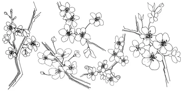 名桜 Vector Art Stock Images Depositphotos