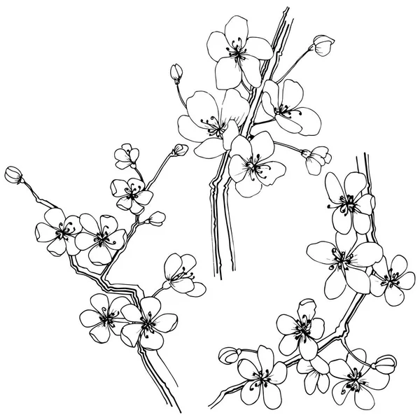 名桜 Vector Art Stock Images Depositphotos