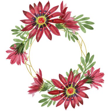 Kırmızı gazania çiçek. Botanik çiçek. Çerçeve kenarlığı süsleme Meydanı. Arka plan, doku, sarıcı desen, çerçeve veya kenarlık için Aquarelle kır çiçeği.
