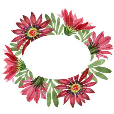 Kırmızı gazania çiçek. Botanik çiçek. Çerçeve kenarlığı süsleme Meydanı. Arka plan, doku, sarıcı desen, çerçeve veya kenarlık için Aquarelle kır çiçeği.
