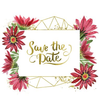 Kırmızı gazania çiçek. Botanik çiçek. Çerçeve kenarlığı süsleme Meydanı. Arka plan, doku, sarıcı desen, çerçeve veya kenarlık için Aquarelle kır çiçeği.