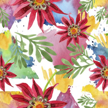 Kırmızı gazania çiçek. Botanik çiçek. Sorunsuz arka plan deseni.