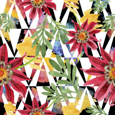 Kırmızı gazania çiçek. Botanik çiçek. Sorunsuz arka plan deseni.