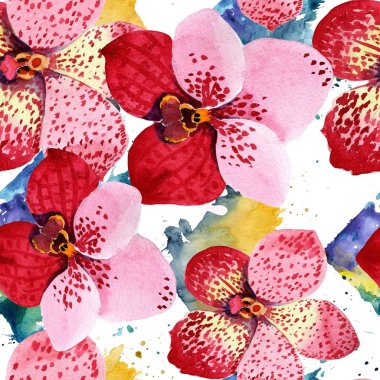 Kırmızı orkide vanda çiçek. Botanik çiçek. Sorunsuz arka plan deseni. Kumaş duvar kağıdı yazdırma doku. Arka plan, doku, sarıcı desen, çerçeve veya kenarlık için Aquarelle kır çiçeği.