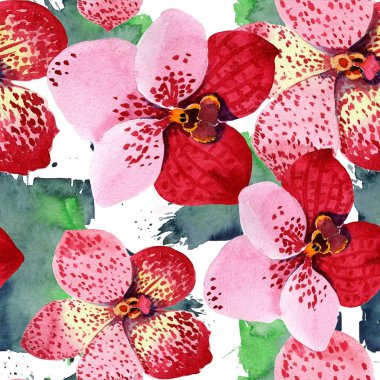 Kırmızı orkide vanda çiçek. Botanik çiçek. Sorunsuz arka plan deseni. Kumaş duvar kağıdı yazdırma doku. Arka plan, doku, sarıcı desen, çerçeve veya kenarlık için Aquarelle kır çiçeği.