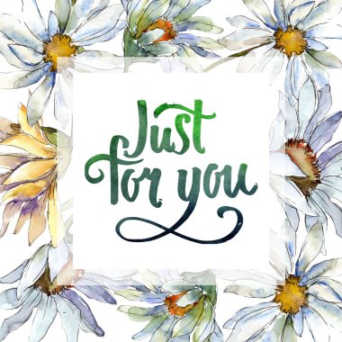 Beyaz papatya çiçek. Botanik çiçek. Çerçeve kenarlığı süsleme Meydanı. Arka plan, doku, sarıcı desen, çerçeve veya kenarlık için Aquarelle kır çiçeği.