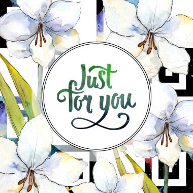 Beyaz nergis zambağı. Botanik çiçek. Çerçeve kenarlığı süsleme Meydanı. Arka plan, doku, sarıcı desen, çerçeve veya kenarlık için Aquarelle kır çiçeği.