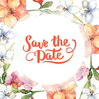 Turuncu ve beyaz nergis zambağı. Botanik çiçek. Çerçeve kenarlığı süsleme Meydanı. Arka plan, doku, sarıcı desen, çerçeve veya kenarlık için Aquarelle kır çiçeği.